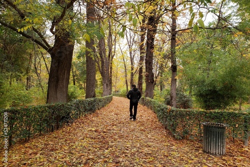 Silhouette of a man walking on a footpath in the park in autumn.