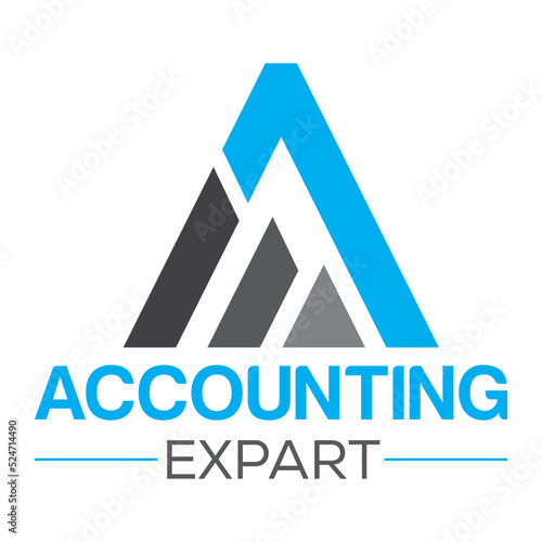 Unique Accounting Logo Design concept