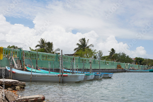 Dock with small boats on it, located in a lagoon in the state of Veracruz, Mexico