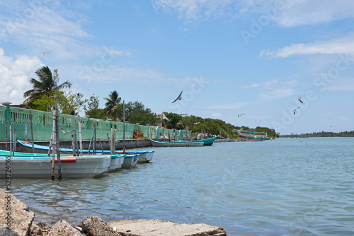 dock on a lagoon in the state of veracruz with some small boats docked