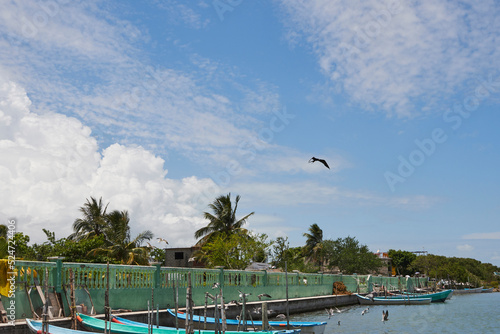 dock on a lagoon in the state of veracruz with some small boats docked