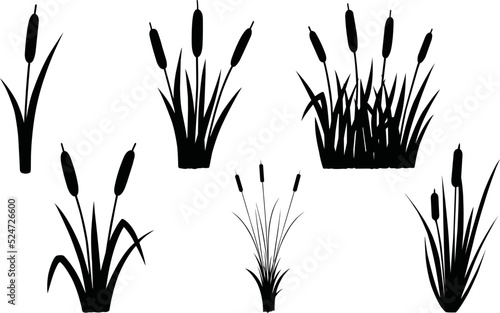 Reeds Eps Vector,  Silhouette, Logo, Reeds  Eps Vector Cut Files for Cricut Design, Reeds  Digital Commercial Clipart 