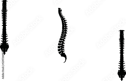 Spine Eps Vector, Silhouette, Logo, Spine Eps Vector Cut Files for Cricut Design, Spine Digital Commercial Clipart 
