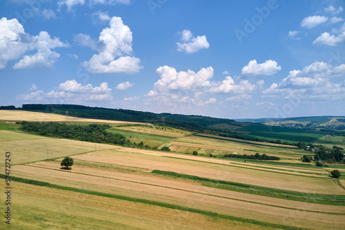 Aerial landscape view of green and yellow cultivated agricultural fields with growing crops on bright summer day © bilanol