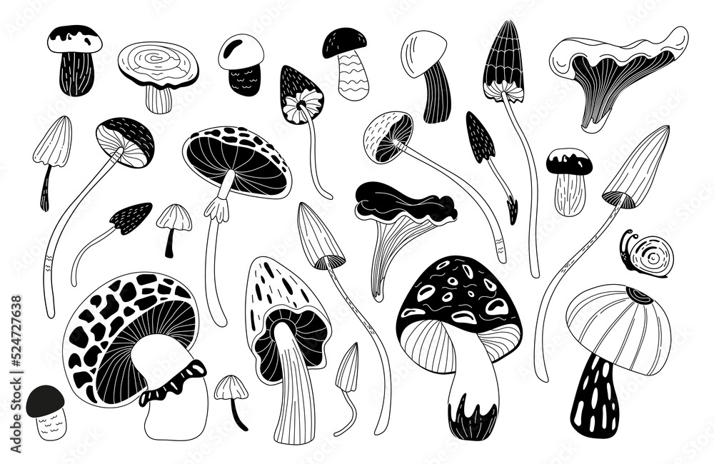 A set of different magic mushrooms. Doodle style. A set of different magic mushrooms. Doodle style.