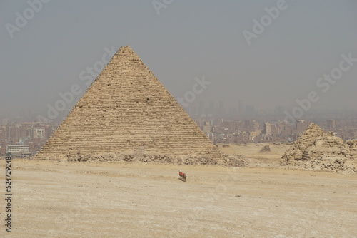 The view of pyramid in Cairo with the camel riding through pyramid