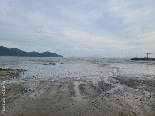 beach and sea