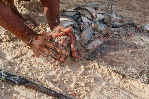 A fisherman prepares bait from small fish to catch large predatory fish.