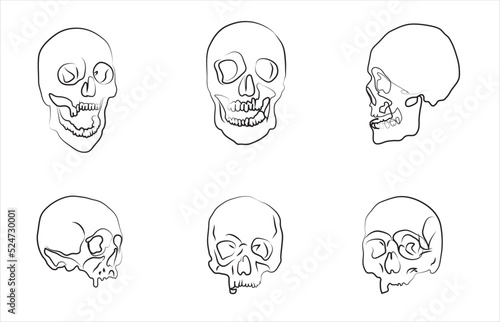 Skull drawing skull face positions set 