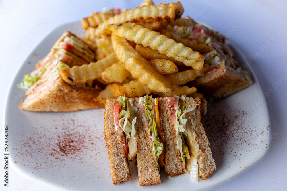 Sandwich and Fries