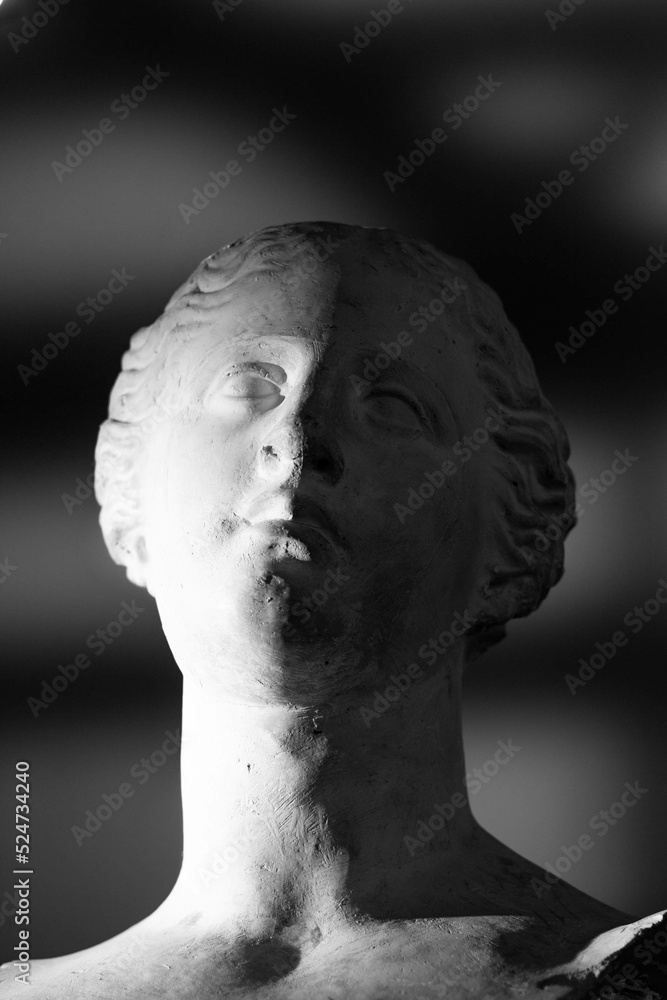 statue of david statue of david