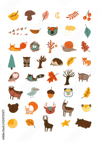 forest animals  vector illustration set
