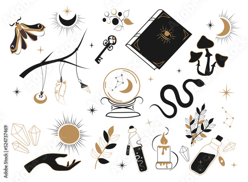 Set of witch items, moon, grimoire, hands, magic ball, crystals, planets, potions, amulets. Magic and witchcraft, witchcraft esoteric alchemy. Wicca. For stickers, tattoo. Vector illustration. 