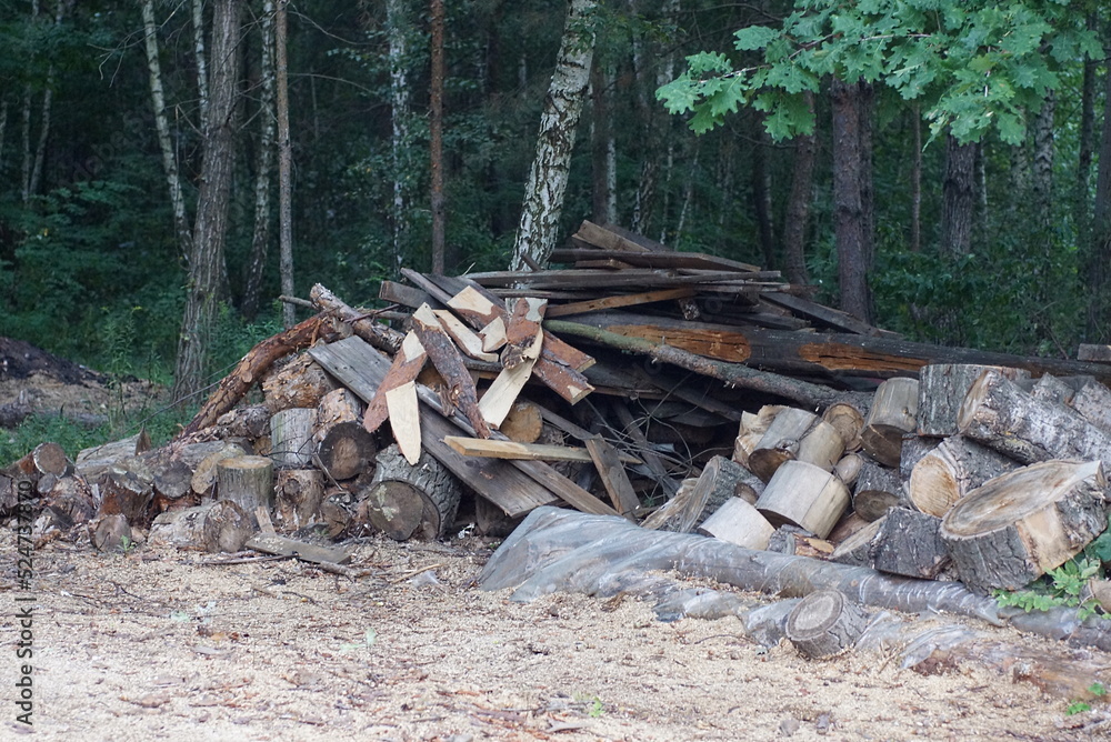 a pile of firewood from wooden boards and logs outdoors on the ground among the trees a pile of firewood from wooden boards and logs outdoors on the ground among the trees