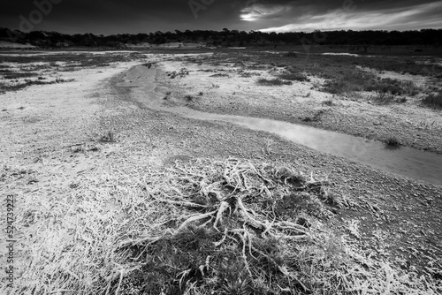 Saltpeter on the floor of a lagoon in a semi desert environment, La Pampa province, Patagonia, Argentina. photo