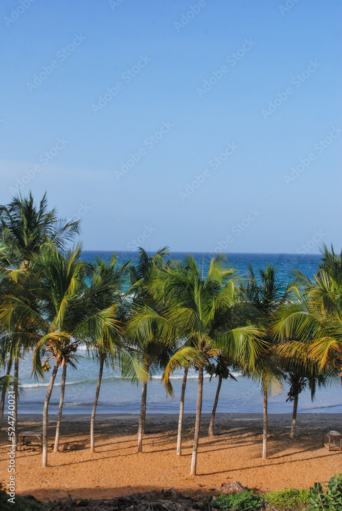 Beach. Seaview. coconut palm tree Mountains by the sea. Caribbean Sea.
Beach. Seaview. coconut palm tree Mountains by the sea. Caribbean Sea.