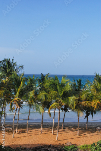 Beach. Seaview. coconut palm tree Mountains by the sea. Caribbean Sea.  