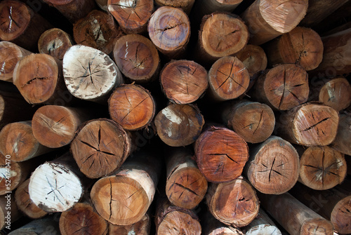 Wooden rolls. Logs cut for construction. Dry wood sticks.  