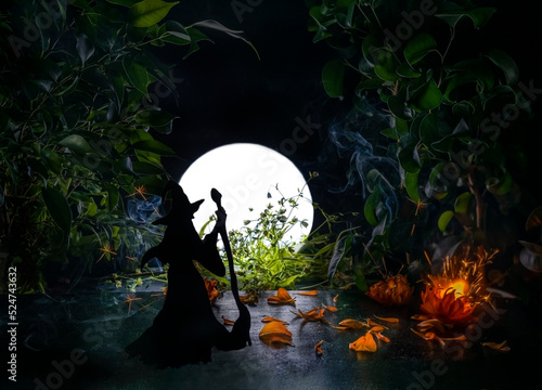 Witch with a broom in a magical garden. Silhouette in the moonlight.