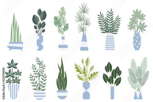 Set of indoor plants in flower pots.Vector graphics.