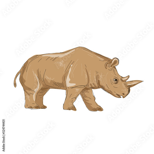 Northern White Rhinoceros Side Drawing