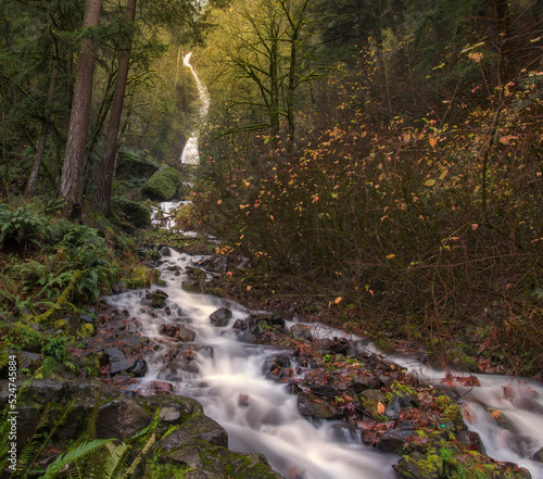 waterfall in autumn forest Columbia River Gorge, Oregon, United States of America