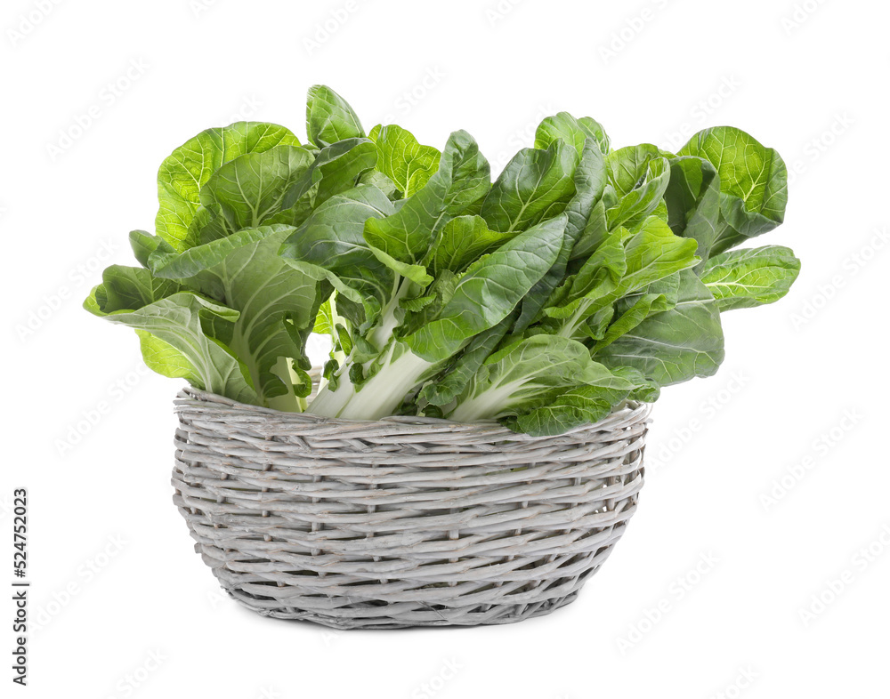 Fresh green pak choy cabbages in wicker basket on white background Fresh green pak choy cabbages in wicker basket on white background