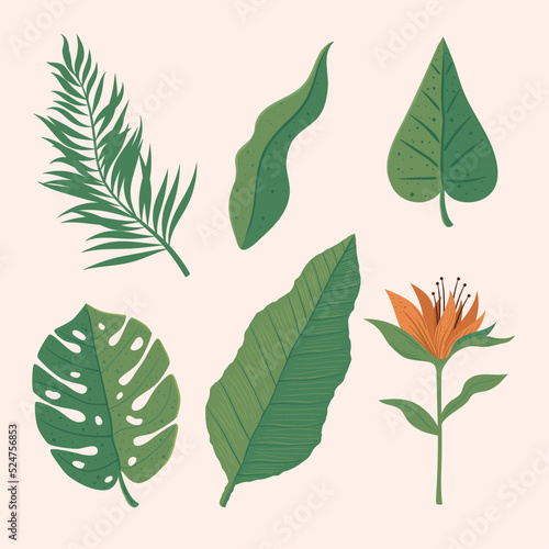 six floral jungle icons