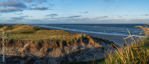 Dünenlandschaft an der Nordseeküste in Dänemark als Panorama