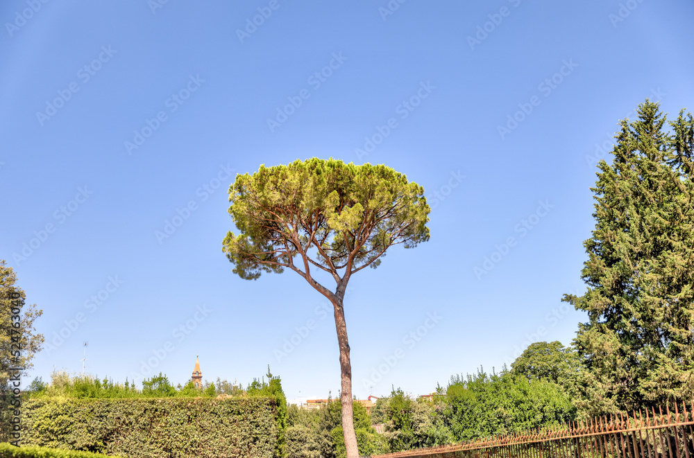 Obraz premium The historic Boboli Gardens and Pitti Palace in Florence Italy