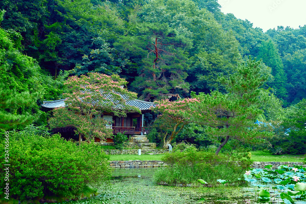 한국의 전통적인 정자. 채화정 Stock Photo | Adobe Stock