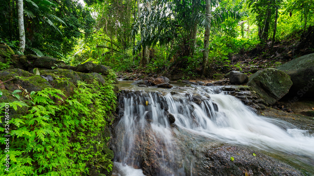 Waterfall in Abundant Clear Stream in the forest Small waterfall river with crystal clear water morning light nature background Waterfall in Abundant Clear Stream in the forest Small waterfall river with crystal clear water morning light nature background