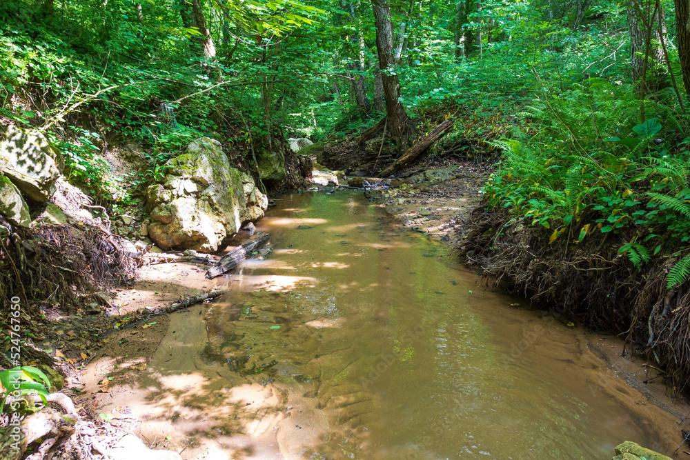 summer, a mountain river at the beginning of the sources in a natural channel under the canopy of the forest. summer, a mountain river at the beginning of the sources in a natural channel under the canopy of the forest.