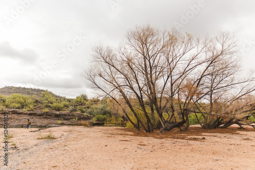 Desert landscape with river  River of water under cloudy gray sky  Sonoran desert water in rainy season  Arizona monsoons