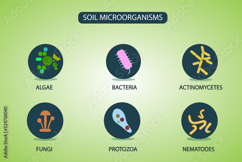 Soil Microorganisms that reproduce in the soil