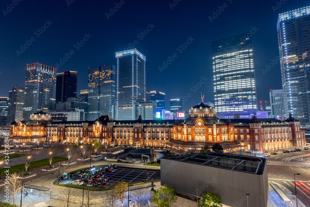 Fototapeta premium 東京駅の景色