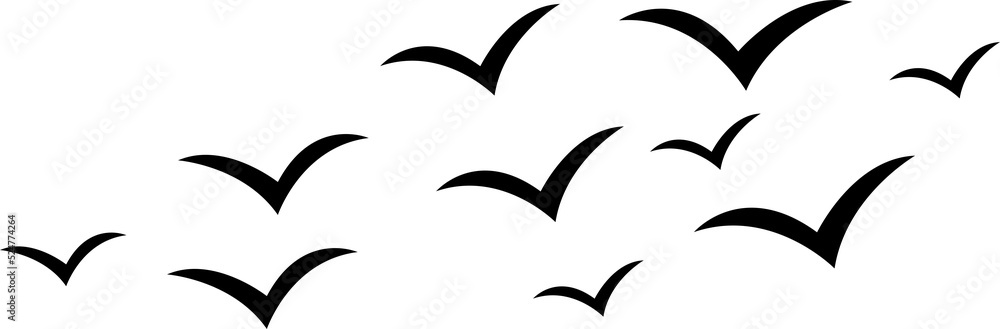bird silhouette bird silhouette