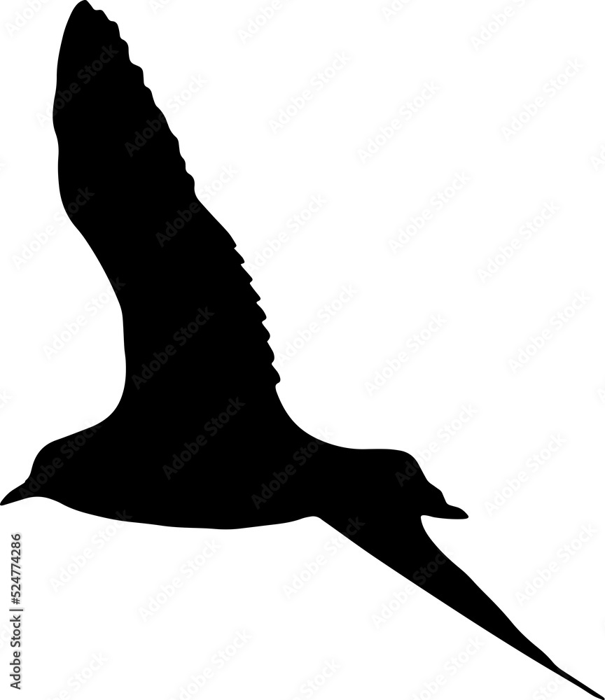 bird silhouette bird silhouette