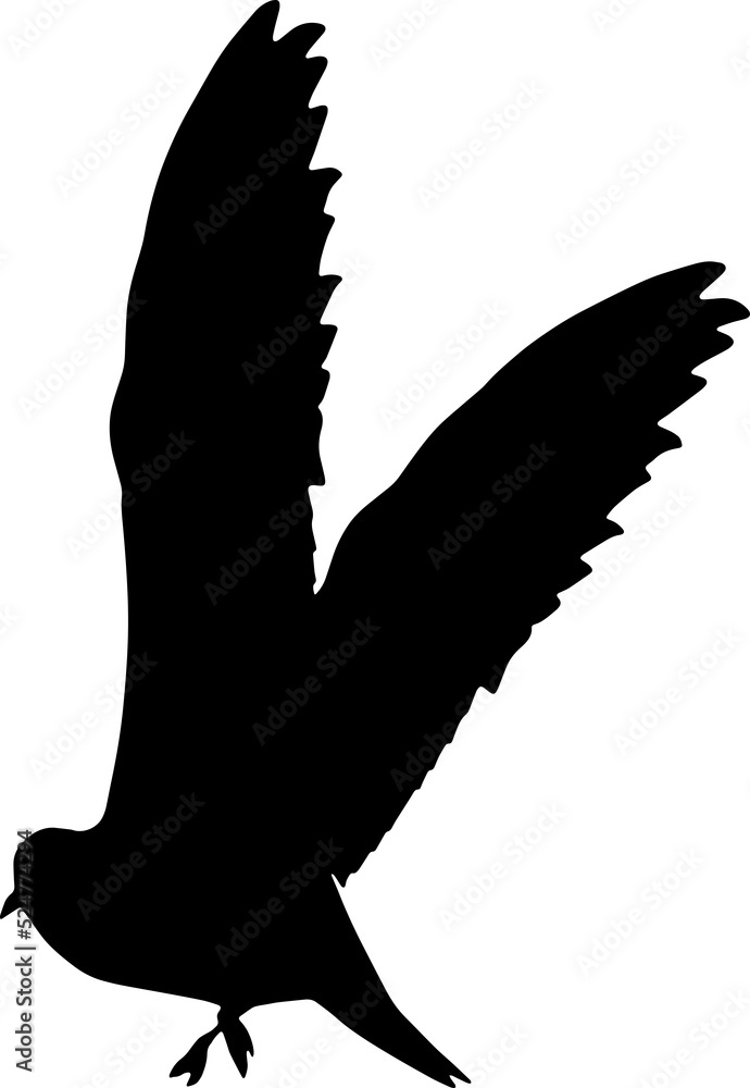 Fototapeta premium bird silhouette