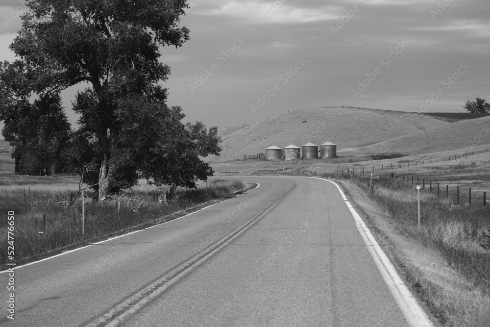 Black and white view of farm silos from road