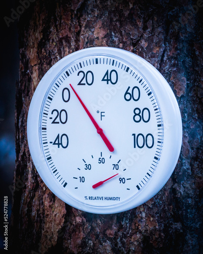 Thremometer hanging on tree photo