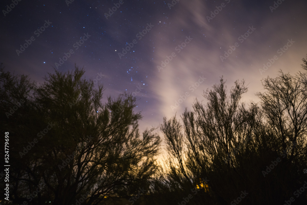 Starry night sky over desert trees with clouds and light Starry night sky over desert trees with clouds and light