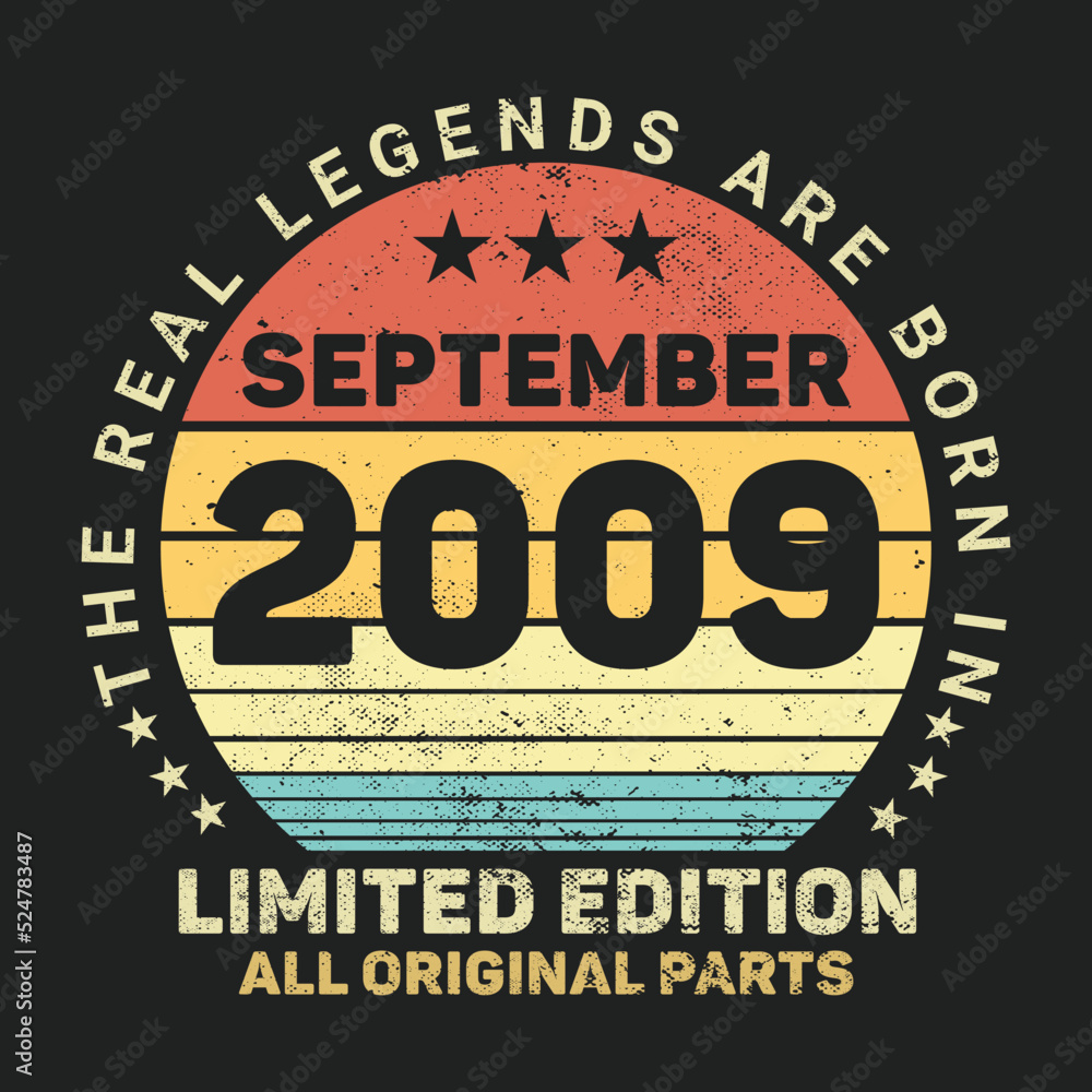 The Real Legends Are Born In  2009, Birthday gifts for women or men, Vintage birthday shirts for wives or husbands, anniversary T-shirts for sisters or brother