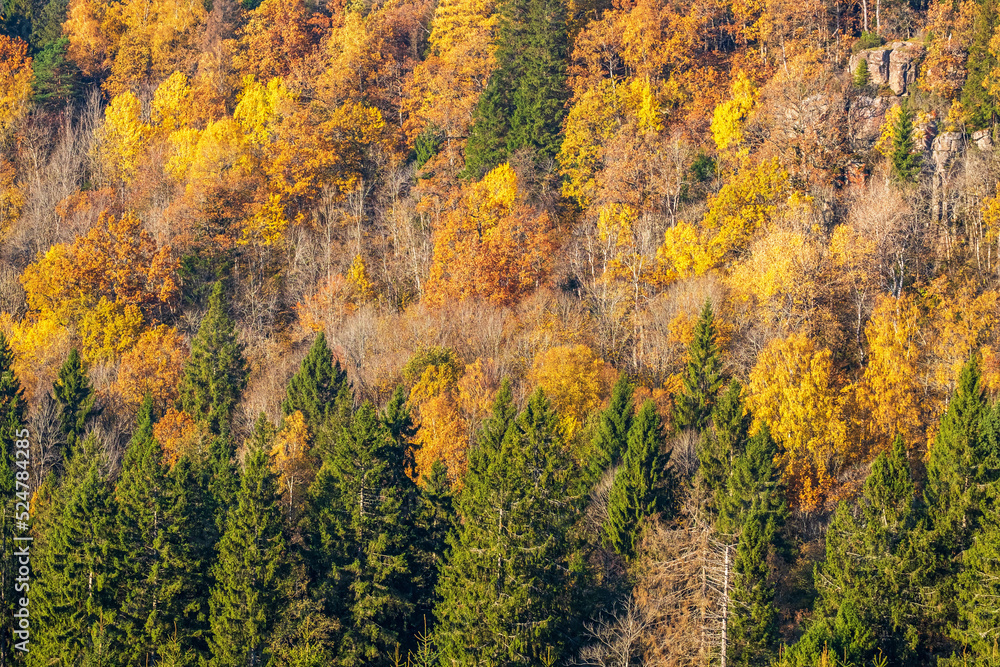 Beautiful autumn colors on a mountain slope Beautiful autumn colors on a mountain slope