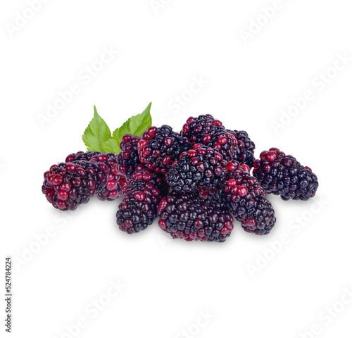Fresh Blackberry with leaves isolated on white background