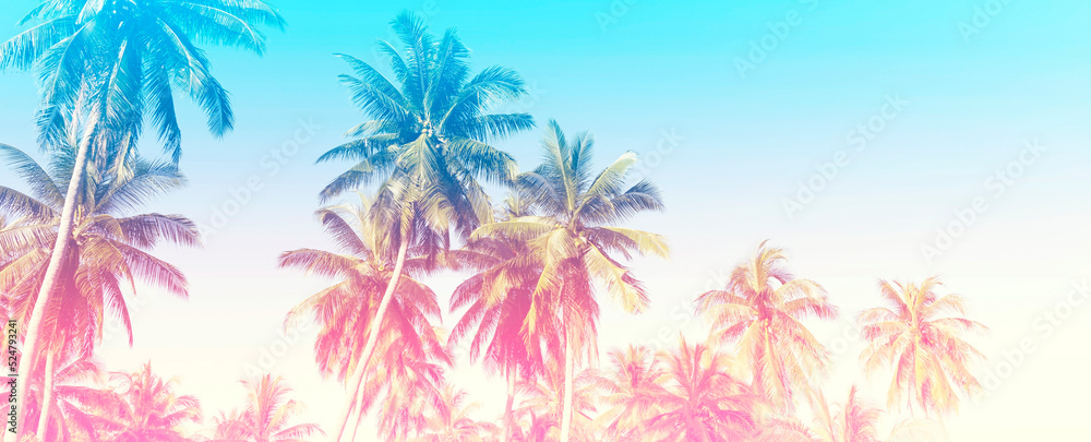 Obraz premium Summer of a colorful theme with palm trees background as texture frame image background