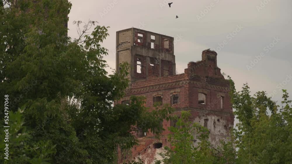 Birds flying high in the sky near the destroyed abandoned factory building with broken windows, a view from a distance. Consequences of bombing and artillery fire. Brick walls of former production. Birds flying high in the sky near the destroyed abandoned factory building with broken windows, a view from a distance. Consequences of bombing and artillery fire. Brick walls of former production.