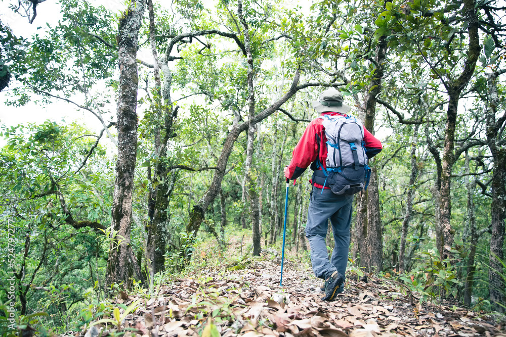 Man walking in forest. Young person hiking male on top rock, Backpack man looking at beautiful mountain valley at sunlight in summer, Landscape with sport man, high hills, sky. Travel and tourism. Man walking in forest. Young person hiking male on top rock, Backpack man looking at beautiful mountain valley at sunlight in summer, Landscape with sport man, high hills, sky. Travel and tourism.