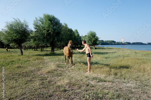 man approaching restless horse on the beach © Photowards
