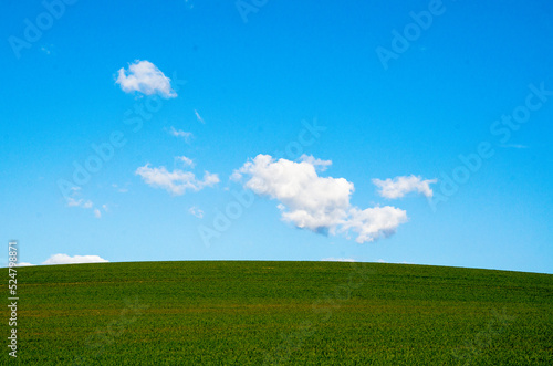 Green Field with blue sky landscape. © itsflowingtothesoul
